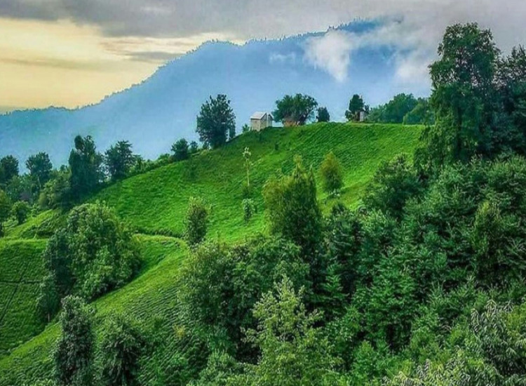 3 جای دیدنی برای اجاره کلبه چوبی وسط جنگل - تصویر 1
